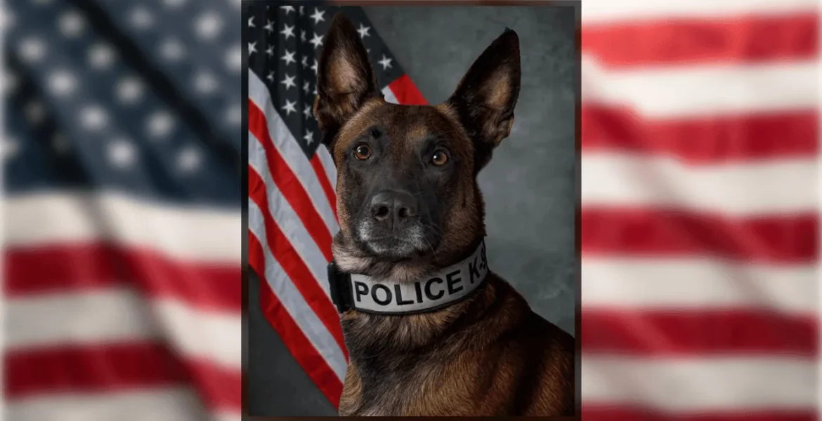 Tipp City police K9 Pasha retires after nearly nine years of service with Officer P. Brazel